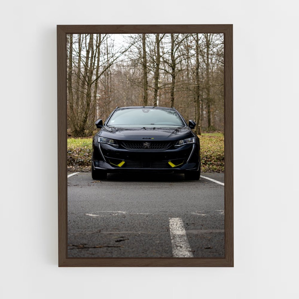 Poster magnifique pse – affiche Peugeot (vue 5)
